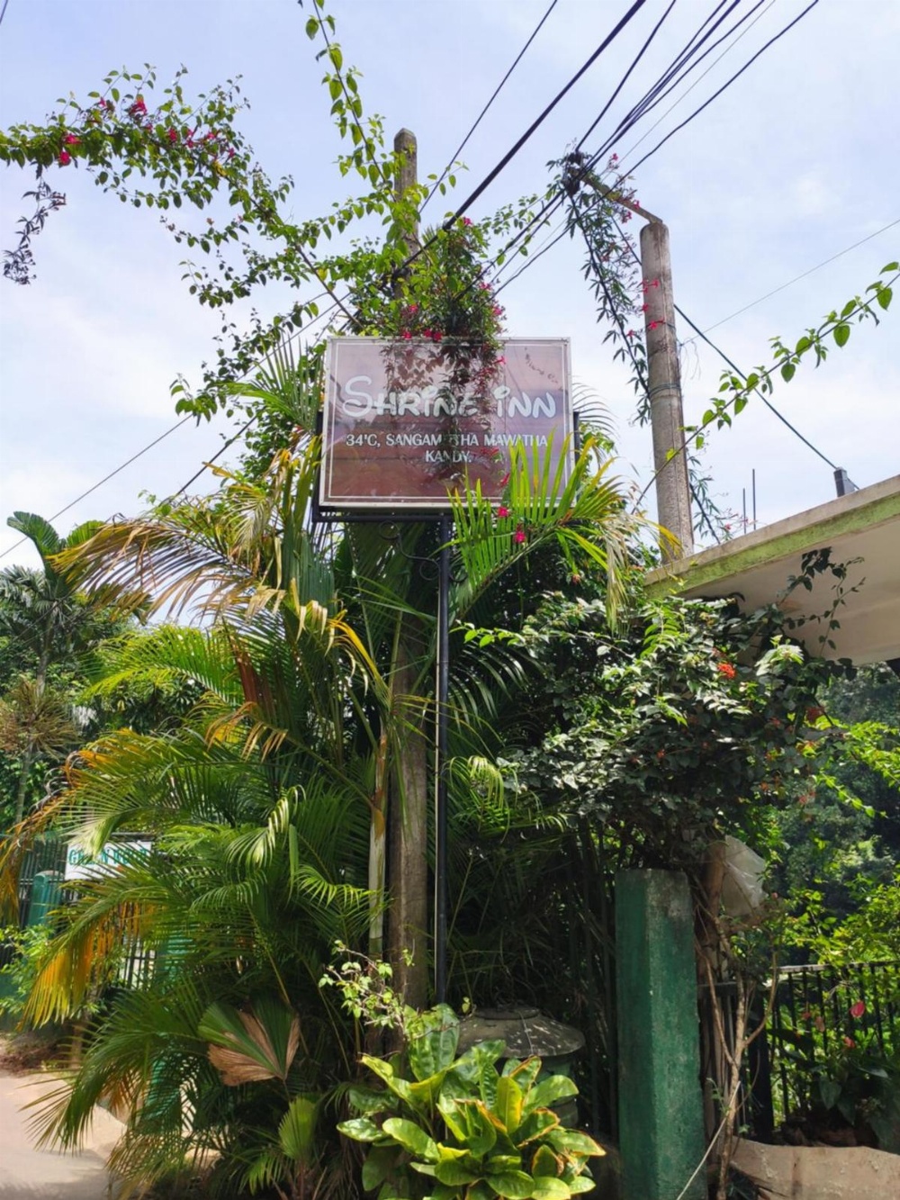 Shrine Inn Main image